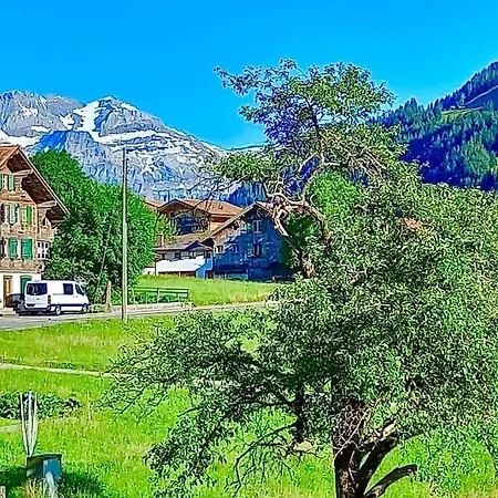 Gemuetliche Im Berner Oberland Appartement Sankt Stephan