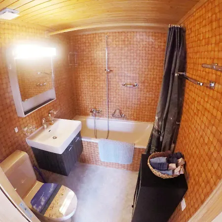 公寓 Gemuetliche Im Berner Oberland *